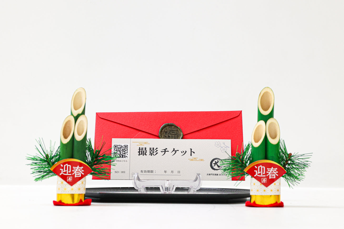 【愛犬ギフト】愛犬の写真撮影